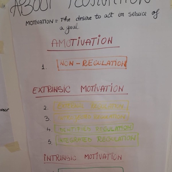 Poster despre tipurile de motivație
